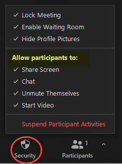 Security menu on Zoom