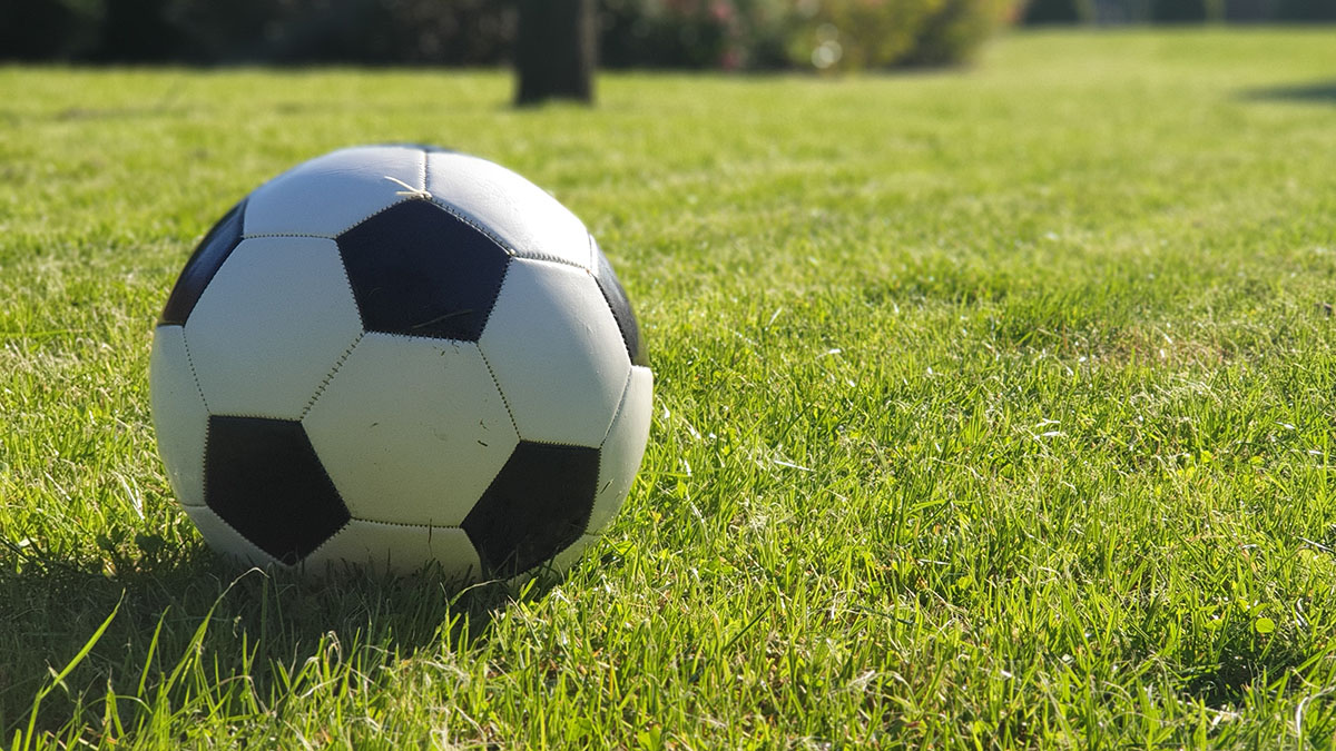 A soccer ball on a grass field. 