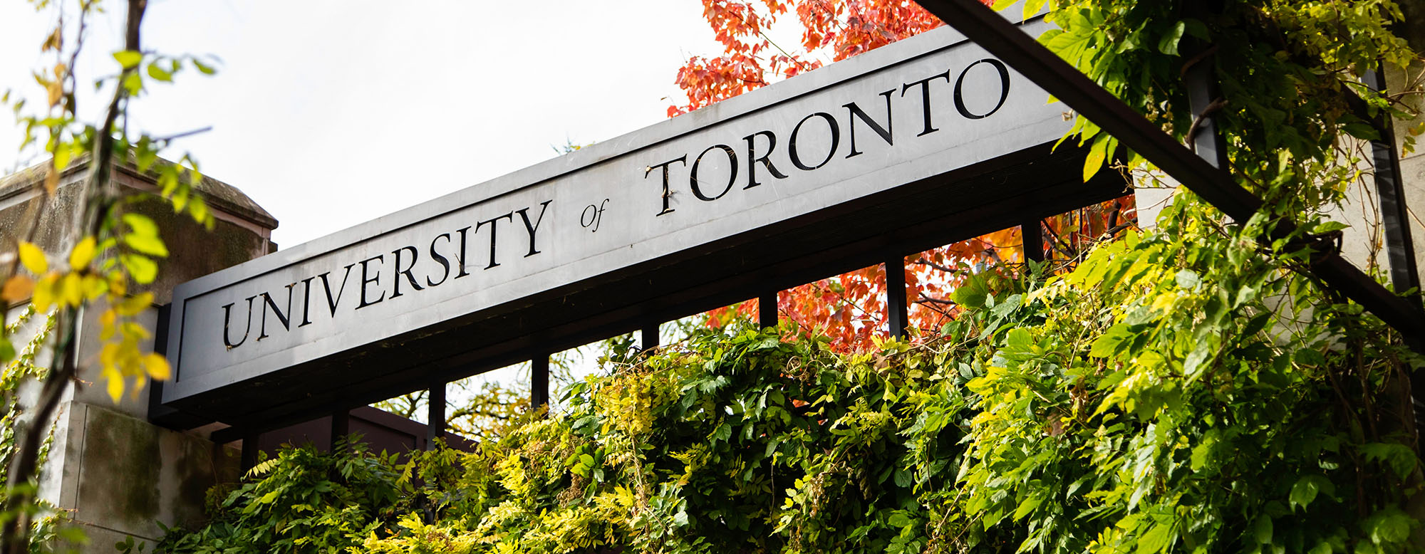 A University of Toronto sign.