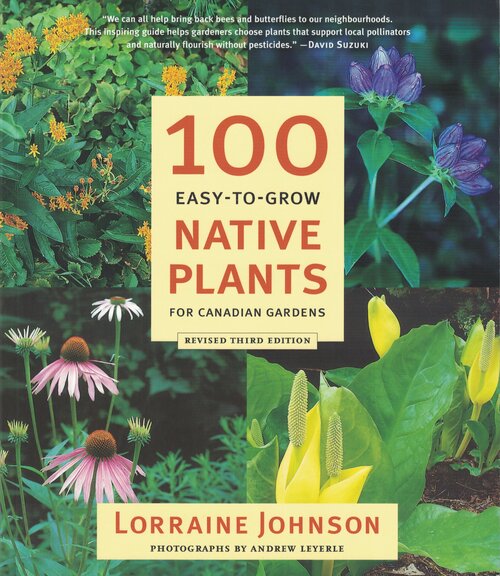 Lorraine Johnson Books