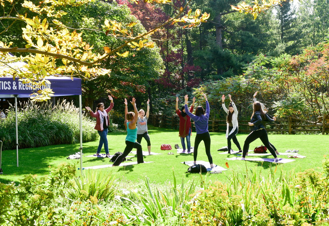 people in a circle stretching in grassy park surrounded by trees