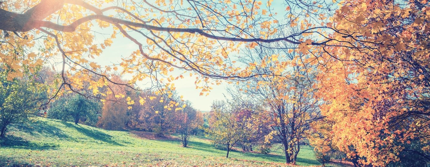 April Banner