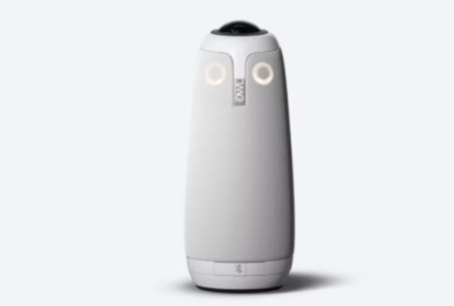 The Meeting Owl