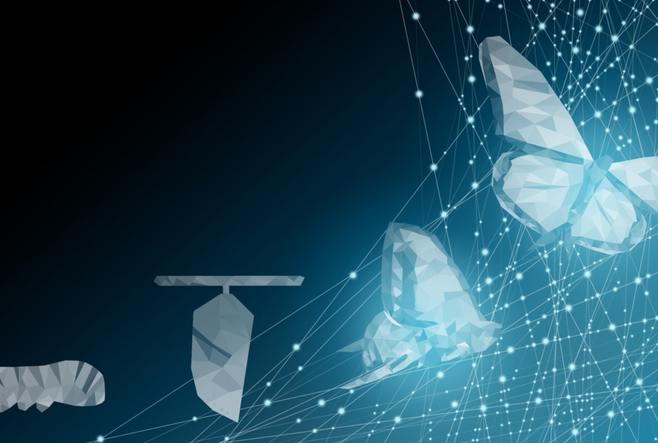 Abstract drawings depicting the metamorphosis from a caterpillar to a butterfly, on a dark blue background.