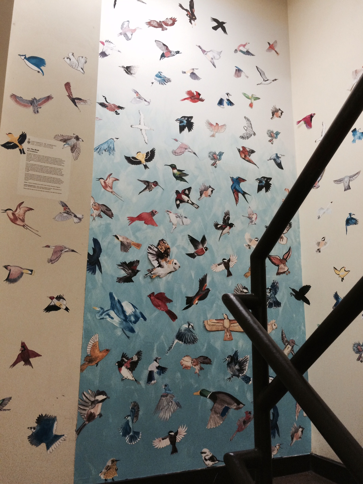 bird drawing collage on wall with blue background