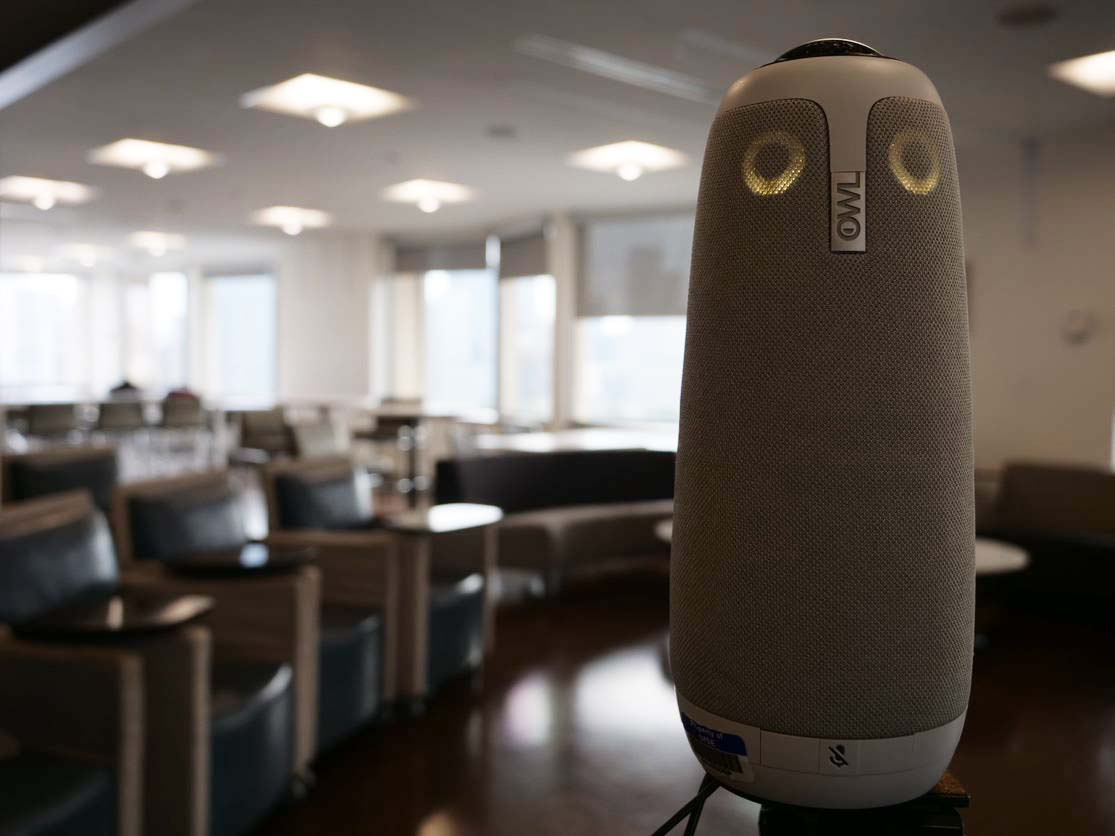 meeting owl