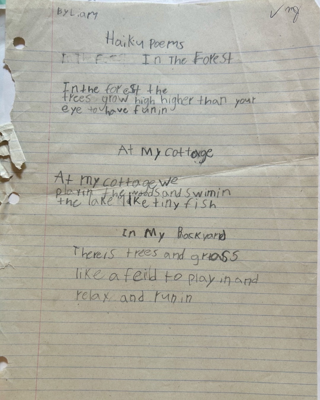 Haiku poems written by a child