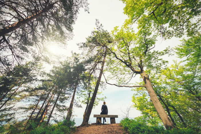 mindfulness-event-image