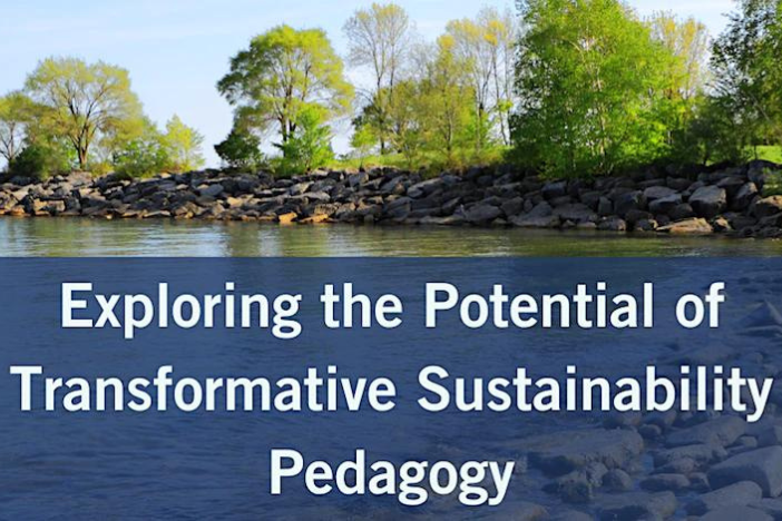 exploring the potential of transformative sustainability pedagogy