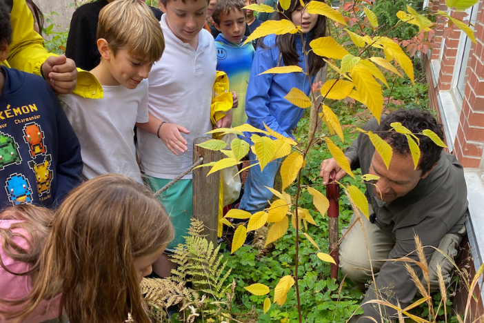 students observing teacher planting herbs in a garden