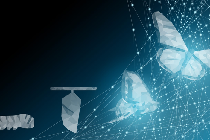 Abstract drawings depicting the metamorphosis from a caterpillar to a butterfly, on a dark blue background.