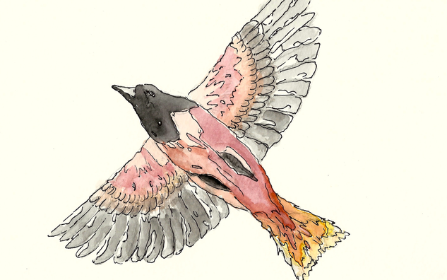 FLAP installation: example for bird drawing/painting - pink bird flying