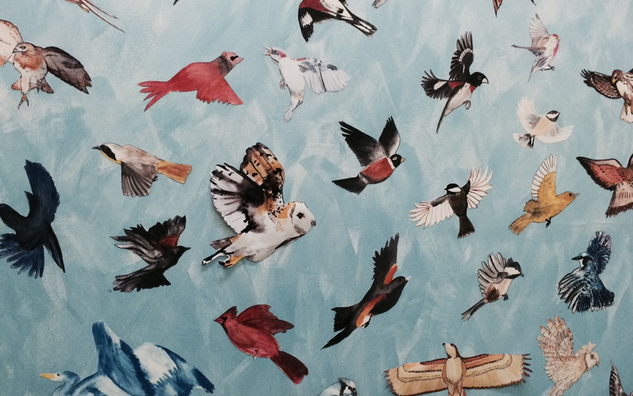 bird drawing collage on wall with blue background