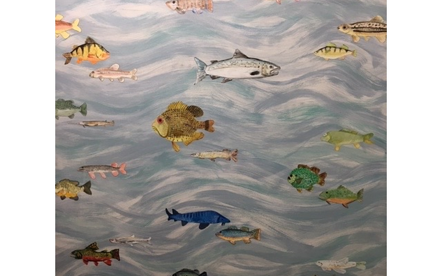 Fish installation with blue background