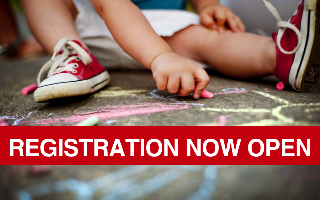 Summer Institute 2025 - Registration Open