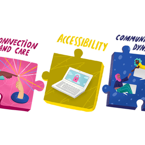 Three puzzle pieces that read, Connection and Care, Accessibility and Community Dynamics.