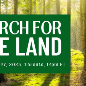 March for the Land