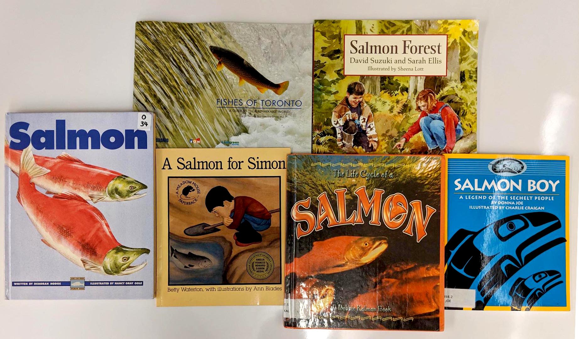 Books used in Raadiyah's class