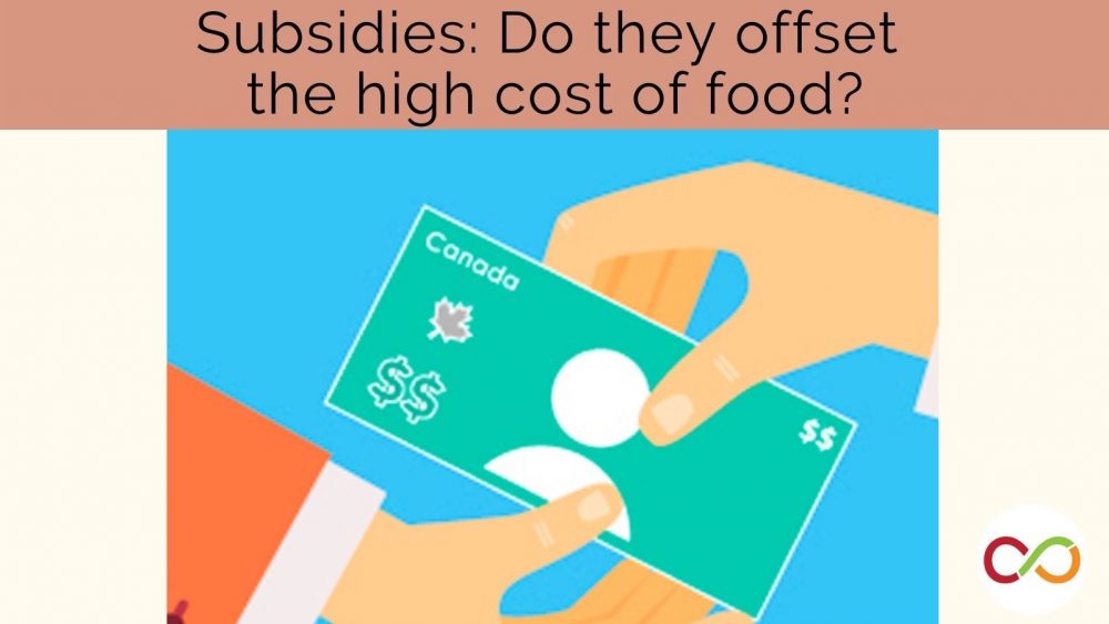 An illustration of money being exchanged. A title reads, "Subsidies: Do they offset the high cost of food?"