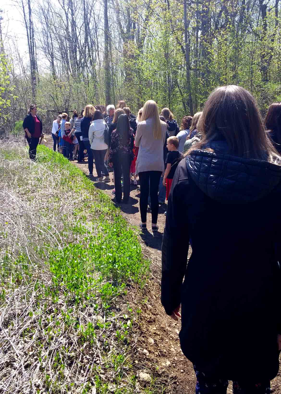 Children lead educators along a forest path, sharing delightful observations