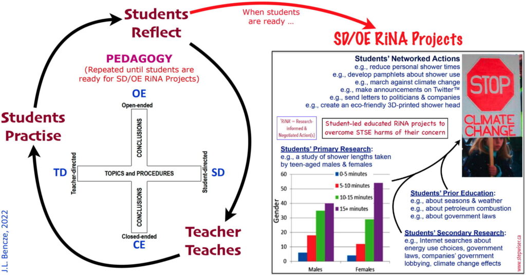 STEPWISE - Outcomes, Pedagogies and Principles