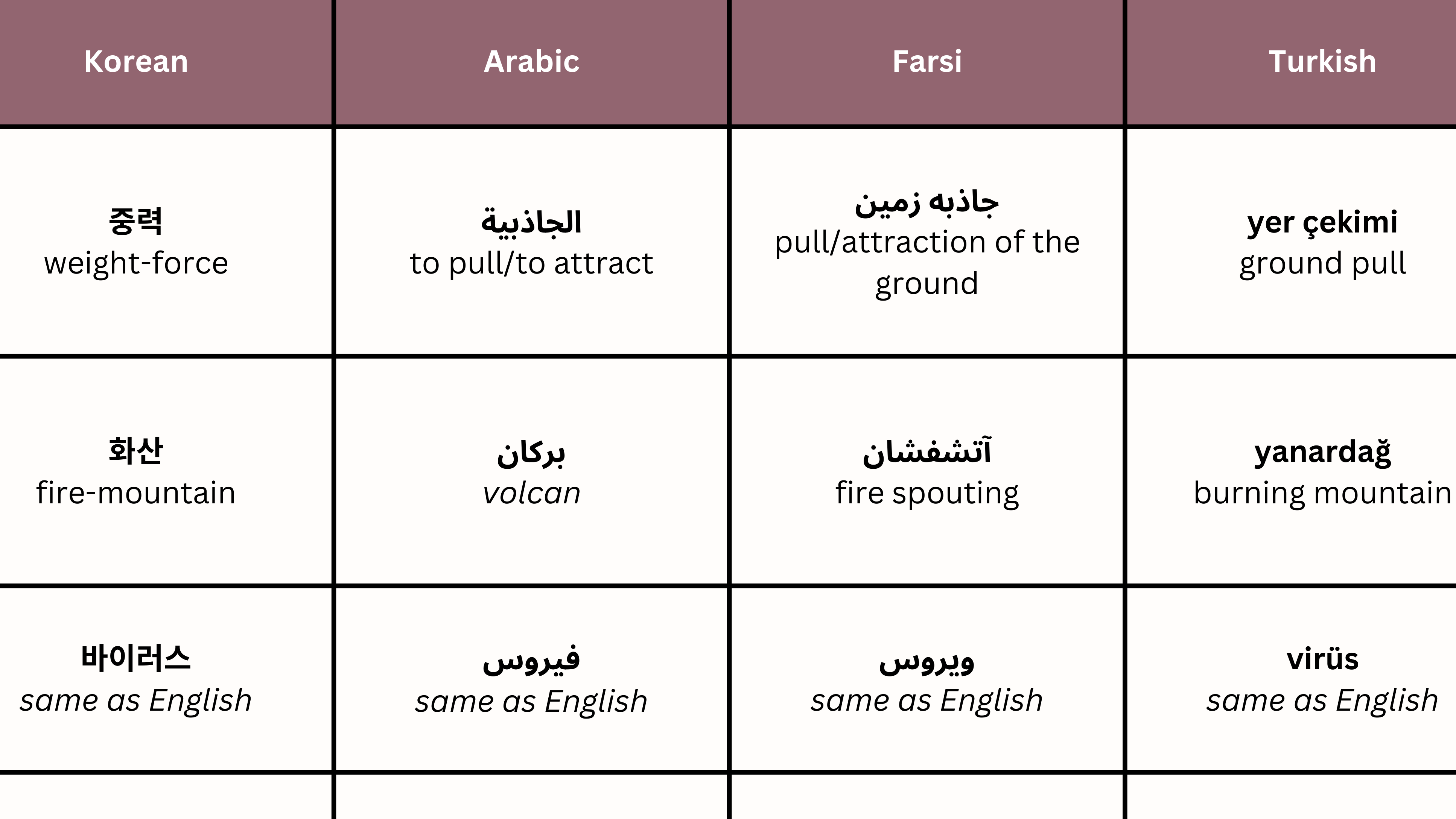 A chart with different scientific terms and their translation into English.