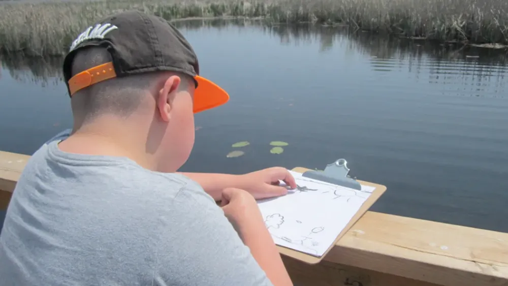 A child sketching nature on a clipboard while sitting by a lake.
