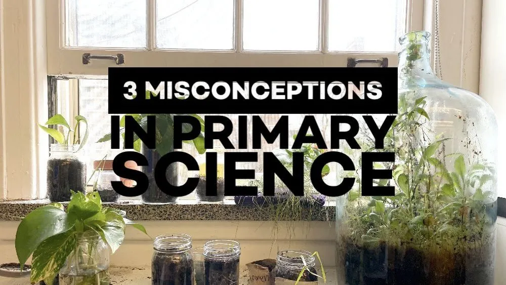 Plants in a classroom by a window, with a title that reads, "3 Misconceptions in Primary Science".
