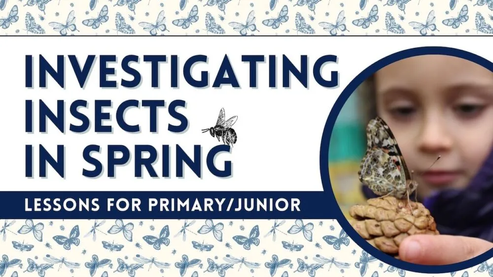 A child with a butterfly, and a title that reads, "Investigating Insects in Spring".