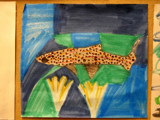 A drawing of a salmon parr