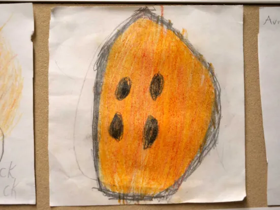 A drawing of a salmon egg