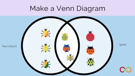 Make A Venn Diagram