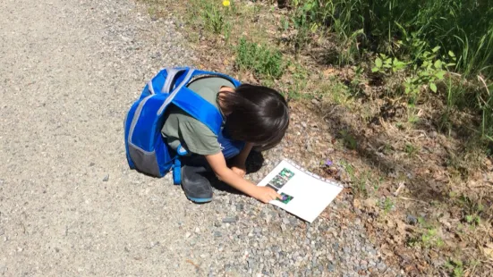 young boy with a backpack sits on the roadside, trying to match a roadside plant with a plants on a piece of paper.