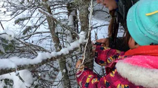 An adult and child measuring the circumference of a tree