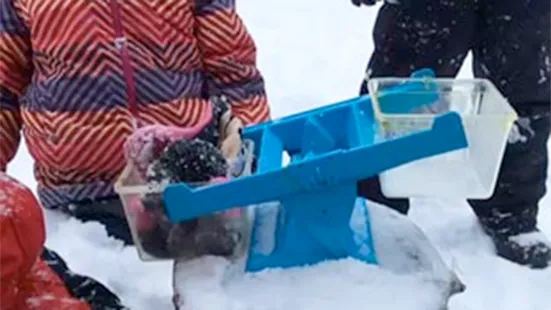 A close up of a scale being balanced with gloves on one side