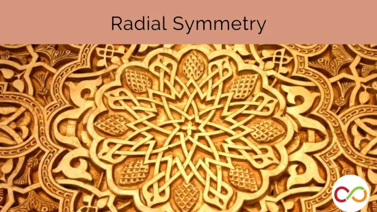 A symmetrical graphic made of wood. A title reads, "Radial Symmetry".