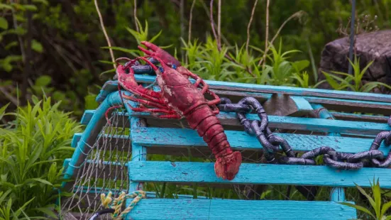 A red lobster on top of a blue wooden lobster trap, surrounded by green vegetation.