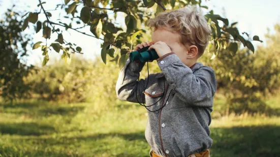 A child looking through a a set of binoculars outside.