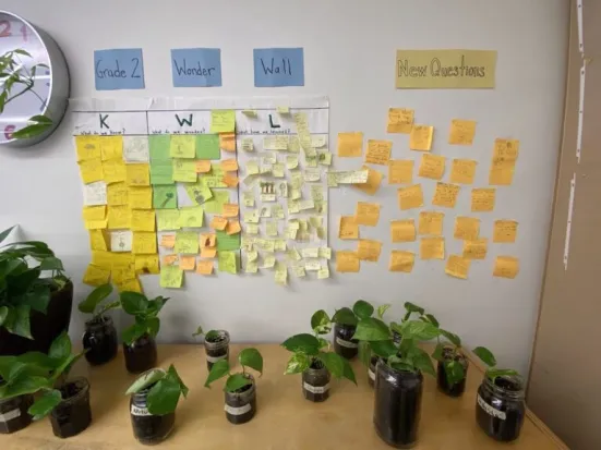 Post-It notes on a wall separated into different sections.